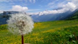 séjour linguistique anglais dans les Alpes